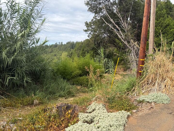 Property Photo:  3124 Meyers Road  CA 95709 
