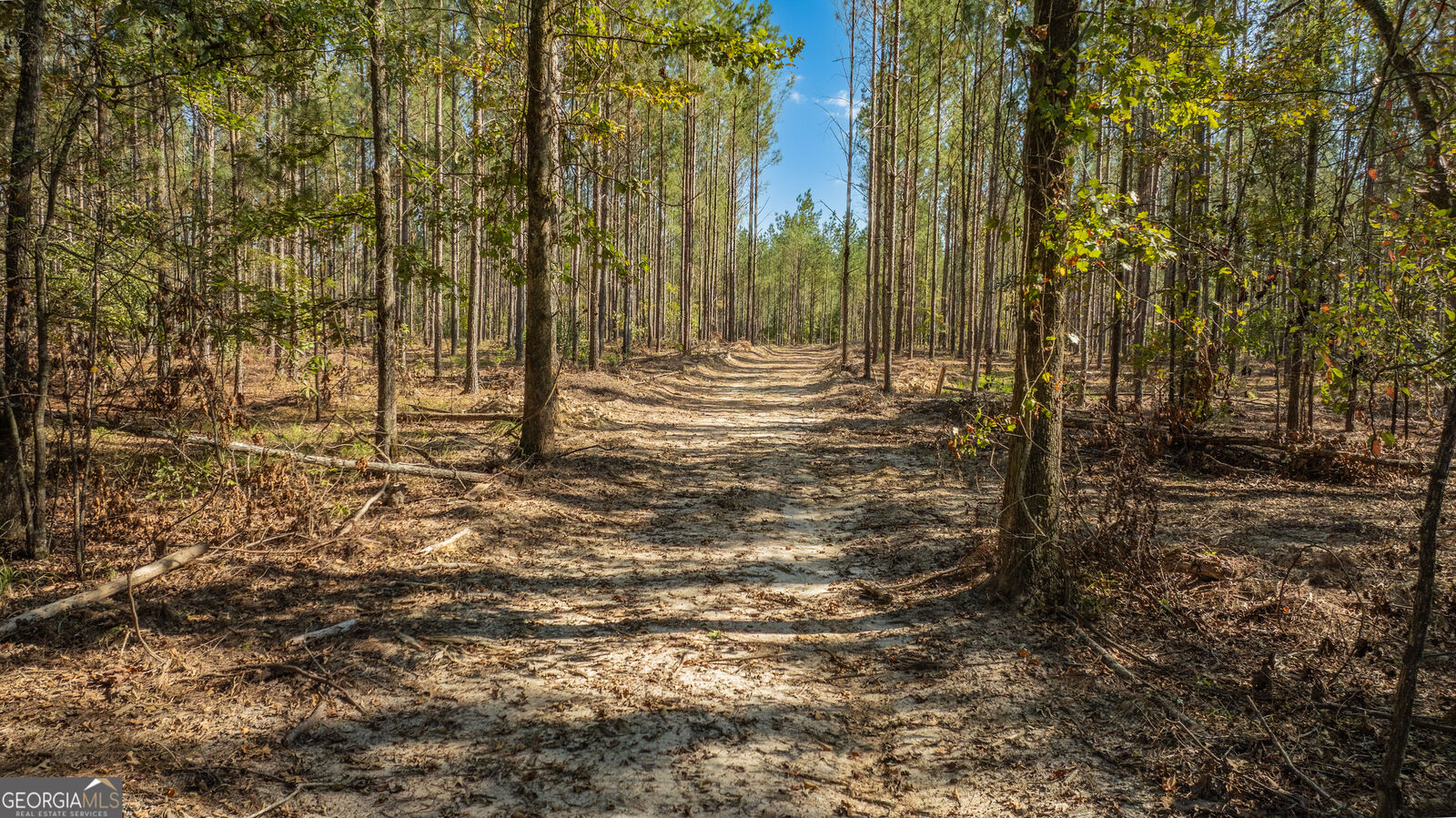 Property Photo:  0 SW Livingston Rd  GA 30161 