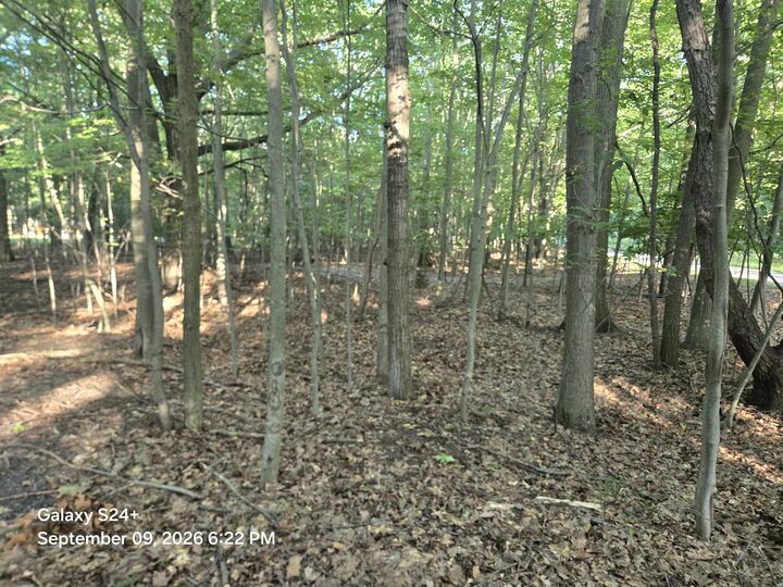 Property Photo: 4 Lots W Beech Street MI 49431