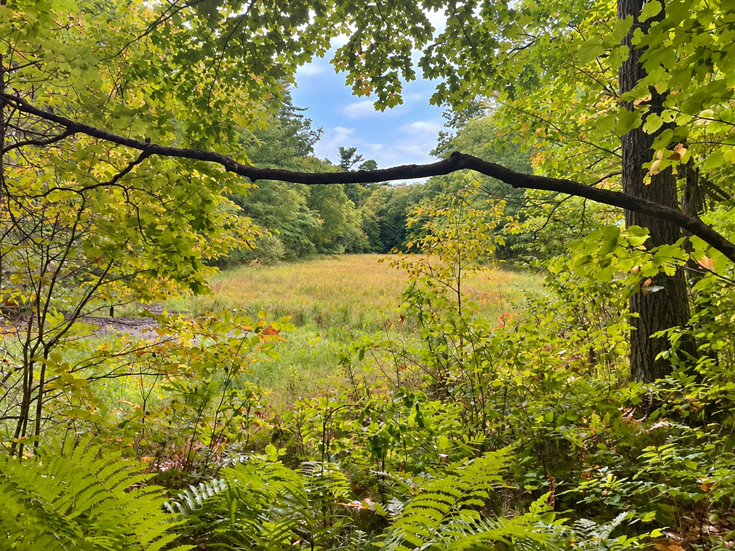 Property Photo:  28xx 10th Street  WI 54829 