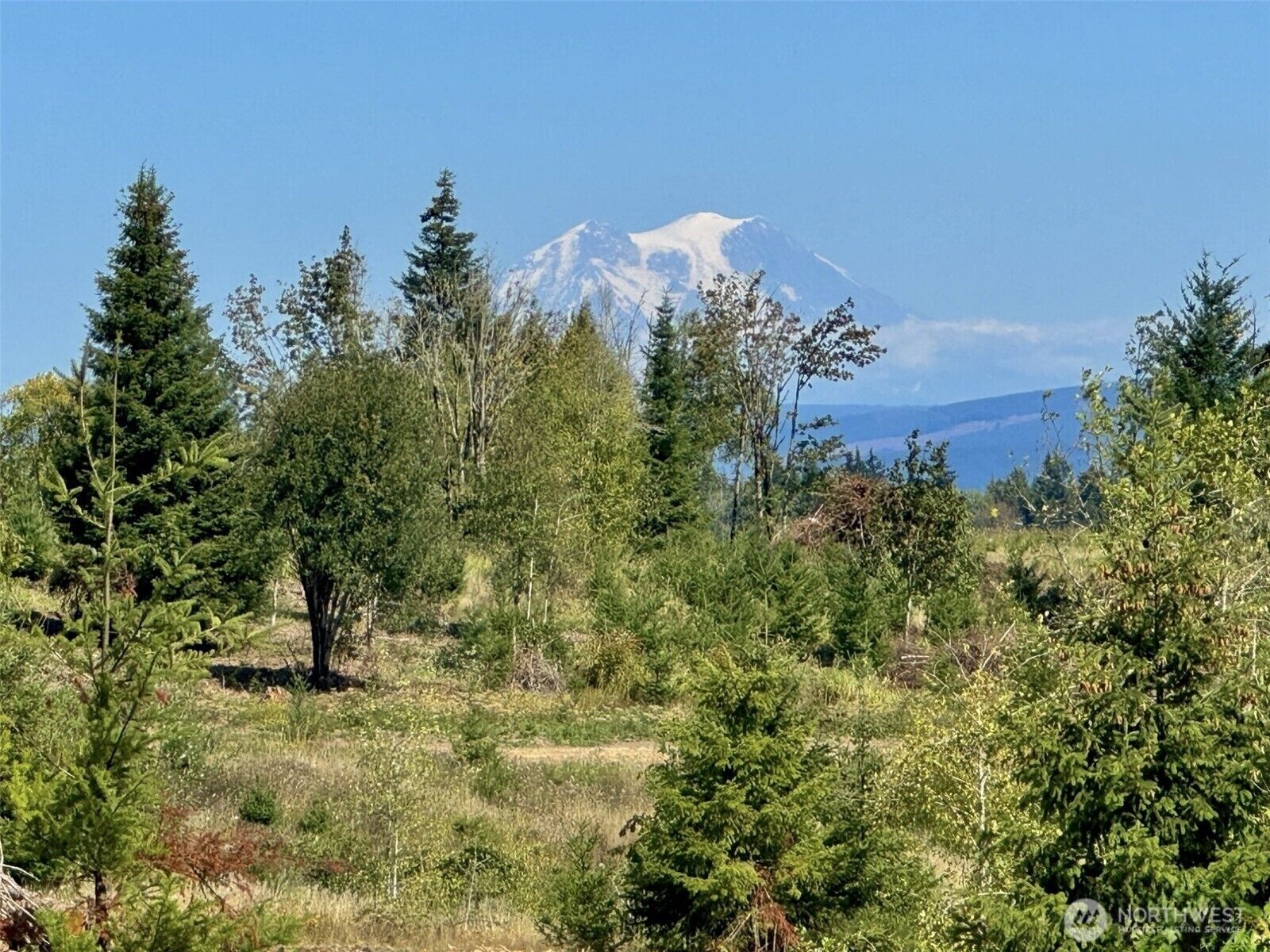Property Photo:  175  Sawall Avenue  WA 98531 