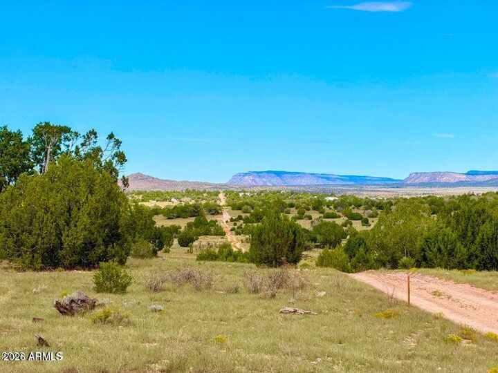 Property Photo: 0 Dusty Rose Ranch Lot C 12 Acre -- AZ 86337