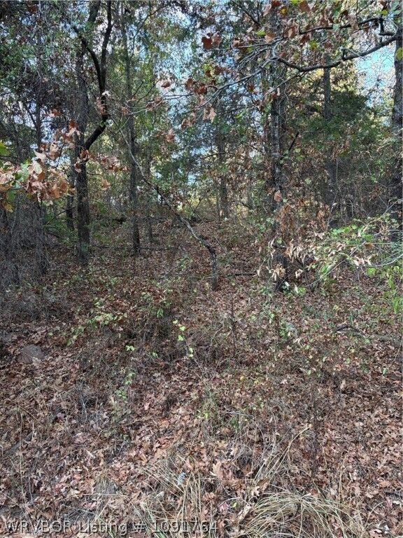 Property Photo: Tbd Buck Creek Road OK 74930