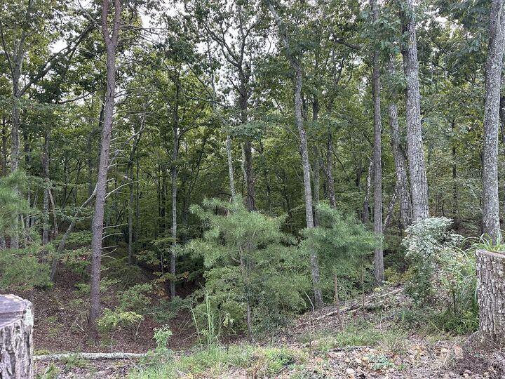 Property Photo:  132 Eagle View Dr  TN 37058 