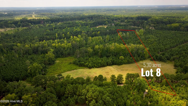 Property Photo: Lot 8 Simons Road GA 30824