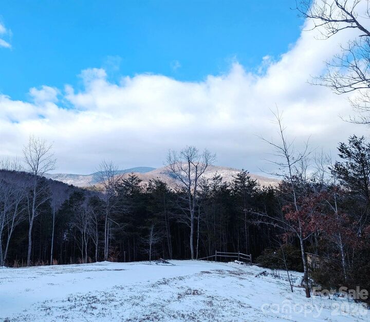 Property Photo:  1318 Laughter Road  NC 28756 