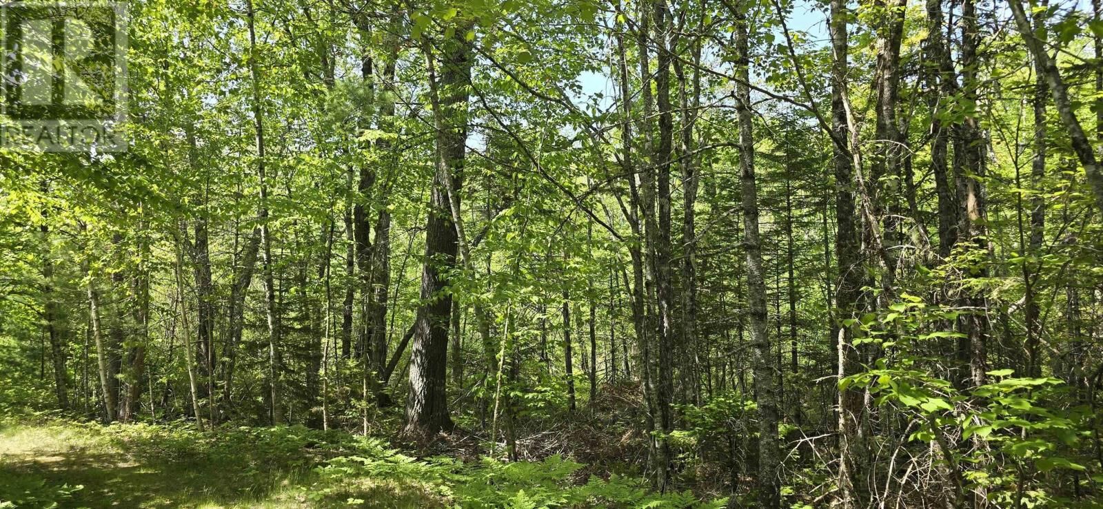 Property Photo:  Lot 176A Spruce Drive  NS B0R 1E0 