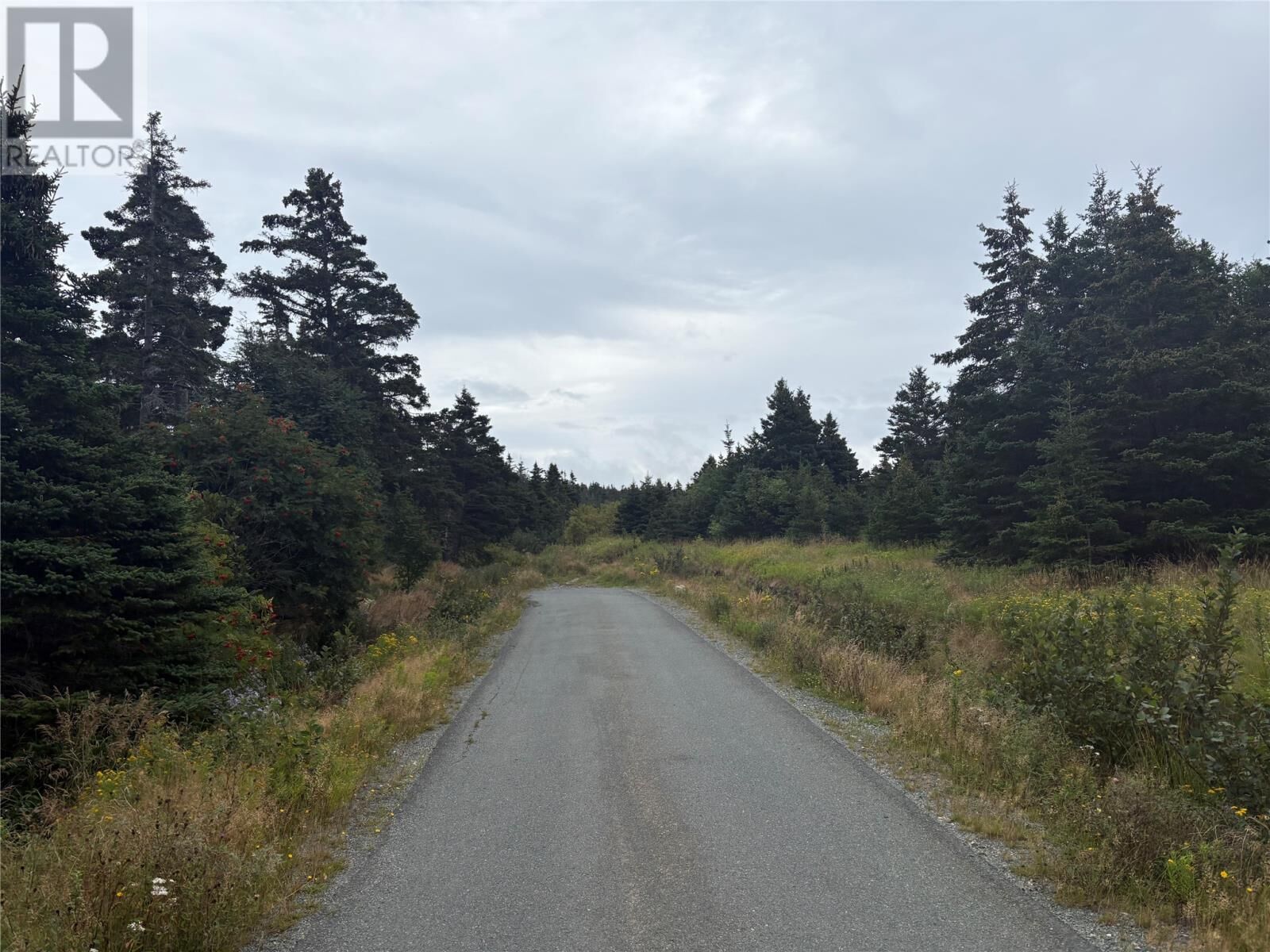 Property Photo:  7-15 Connors Lane  NL A0A 3L0 