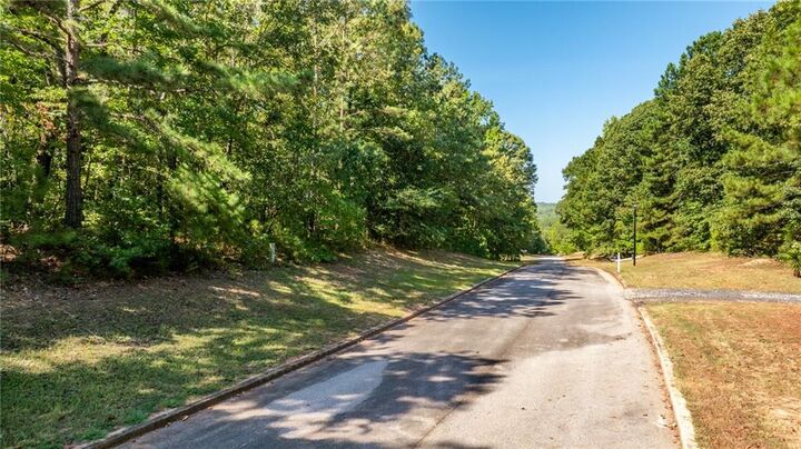 Property Photo:  205 Long Cove Drive  GA 30240 