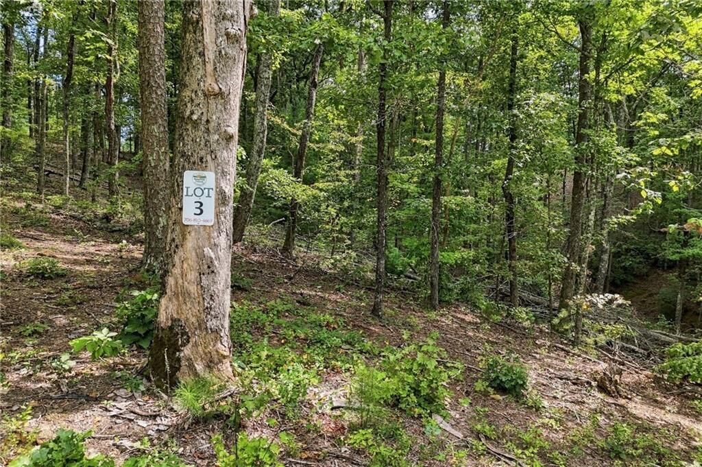 Property Photo:  3 Turkey Spur Drive  GA 30540 