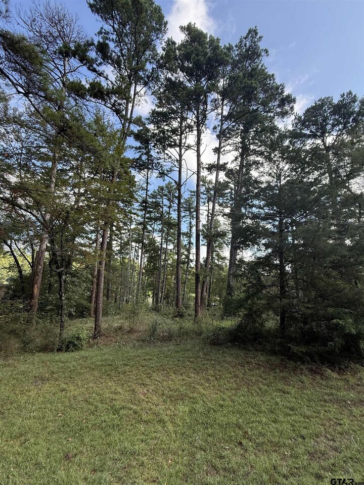 Property Photo:  13254 County Road 468  TX 75704 