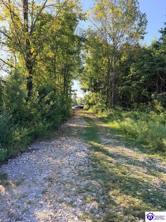 Property Photo:  0 Cedar Hill Drive  KY 42701 