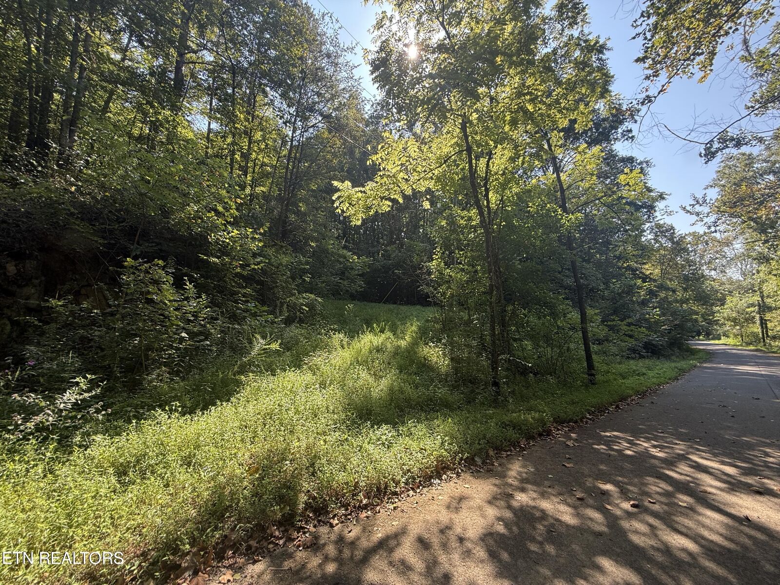Property Photo:  Community Park Rd  TN 37865 
