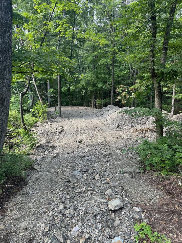 Property Photo:  Lot 510455 Creek Road  NY 12569 