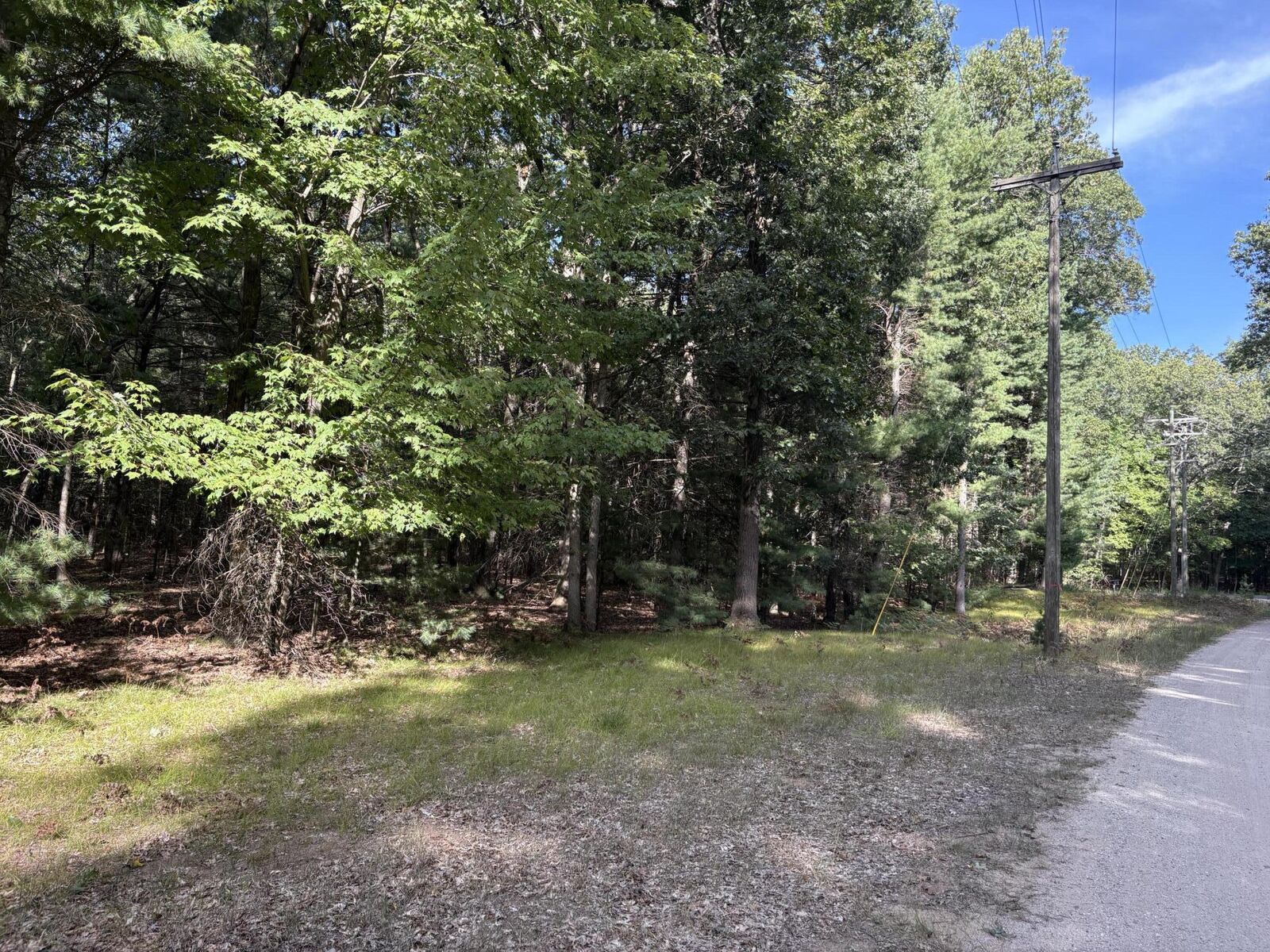 Property Photo:  Lot 136 Wayne Avenue  MI 49449 