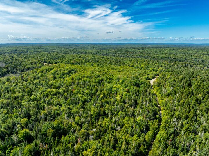 Property Photo:  Map 2 Lot 45,46,55  ME 04652 