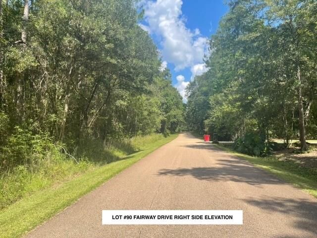 Property Photo:  Lot #90 Fairway Drive  LA 70420 
