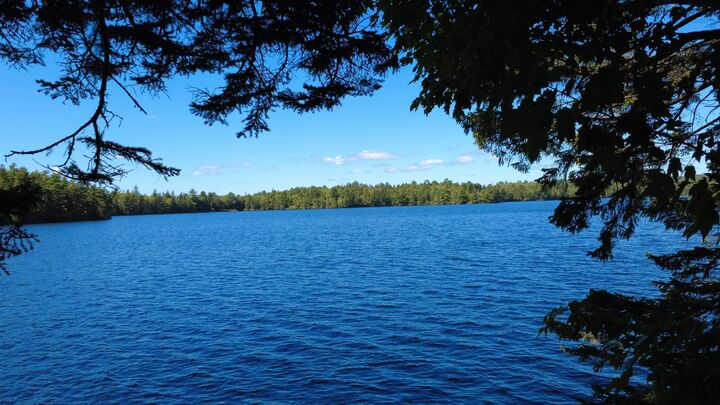 Property Photo:  Lot Vinegar Lake Road  NS B0J 1T0 