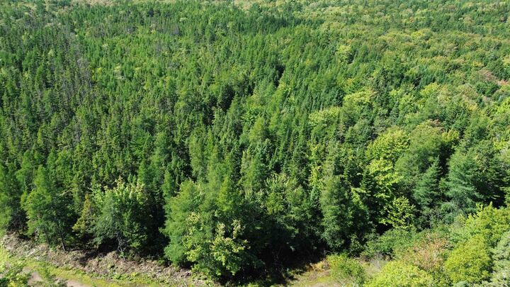 Property Photo:  Port Malcolm Road  NS B9A 1Z6 