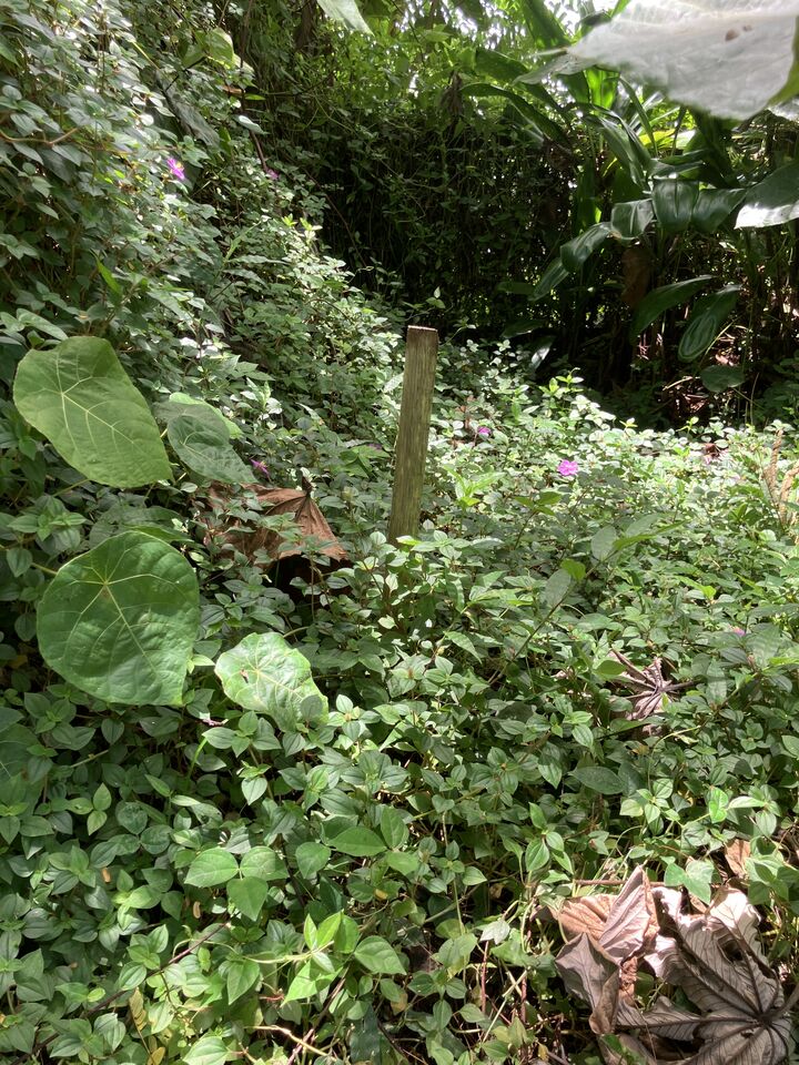 Property Photo:  Opakapaka St  HI 96778 