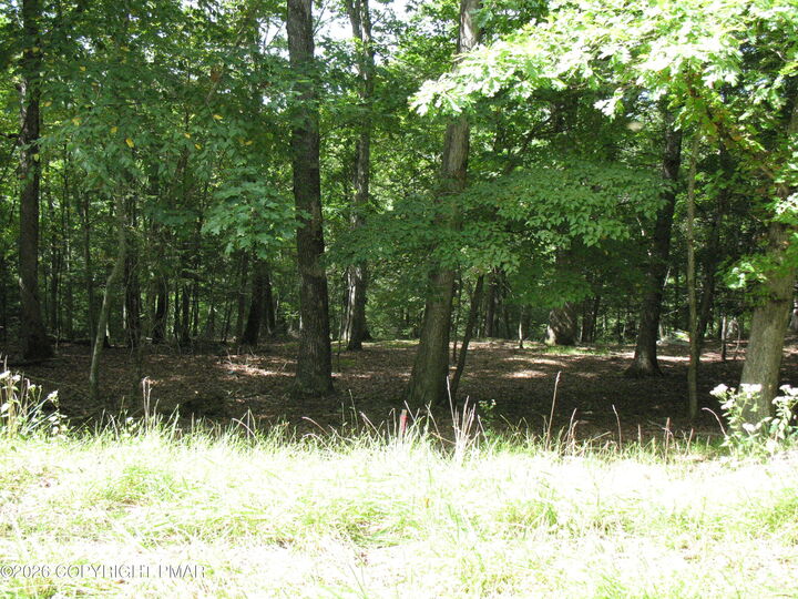 Property Photo:  Lot 24 Clubhouse Drive  PA 18302 