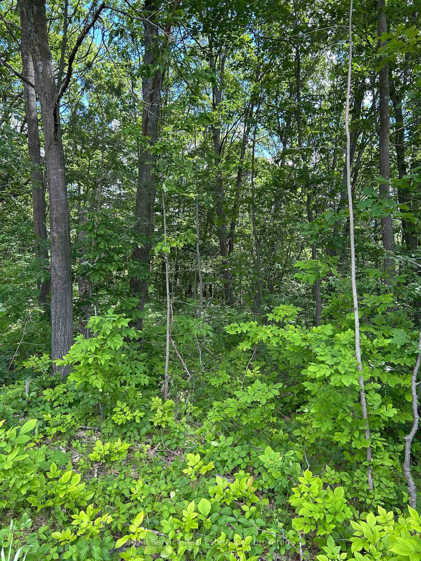 Property Photo:  101, 102 And 103 Dingman Road  ON K0K 1M0 