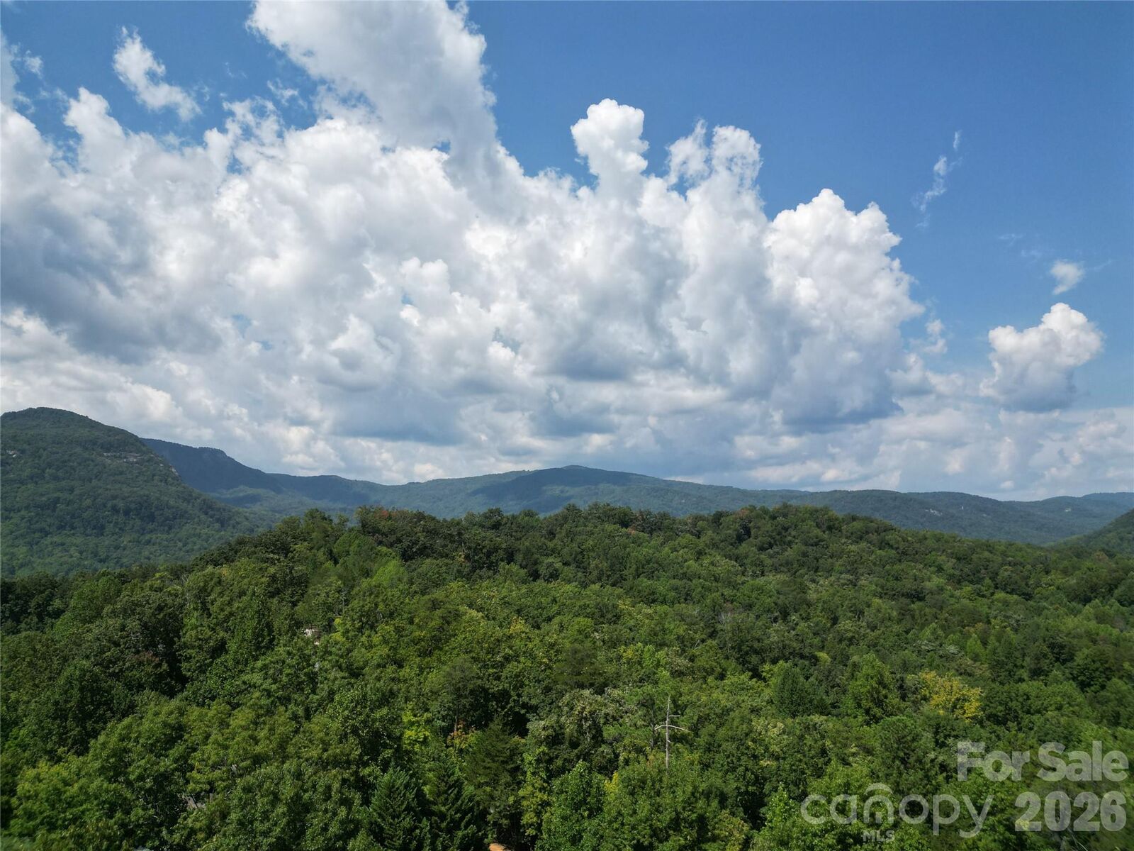 Property Photo:  Lot 1 &Amp 2 Eagles Crest Way  NC 28746 