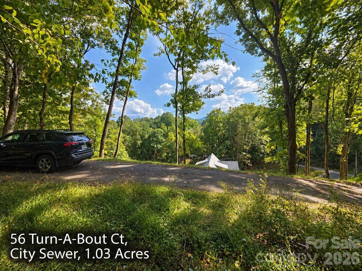 Property Photo: 300 Turn-A-Bout Court 56 NC 28785