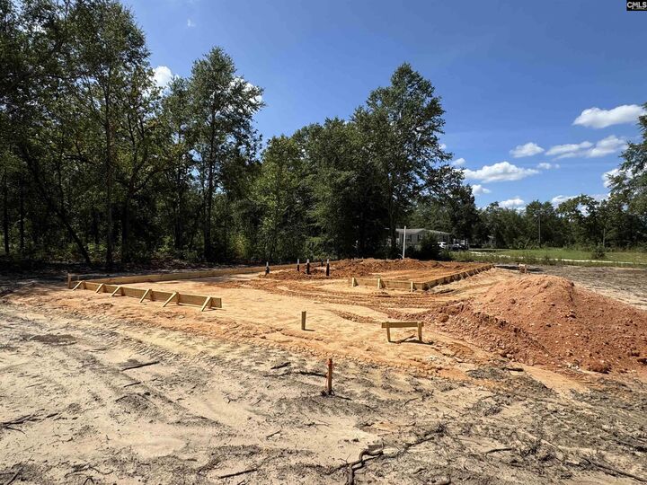 Property Photo:  124 Long Branch Rd  SC 29137 