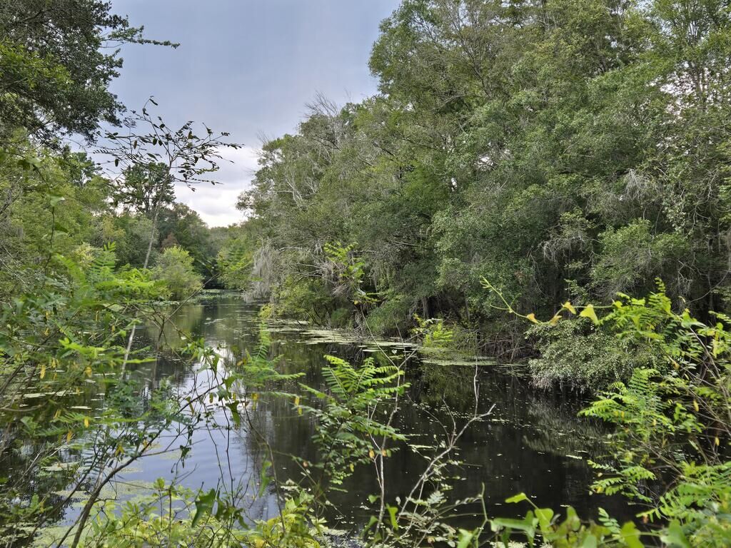 Property Photo:  2180 SE Hwy 317  FL 32680 