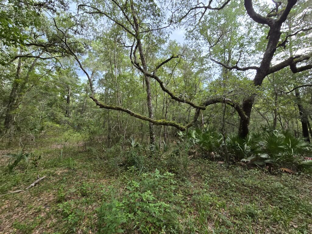 Property Photo:  Lot 35 SE 229 Ln  FL 32680 