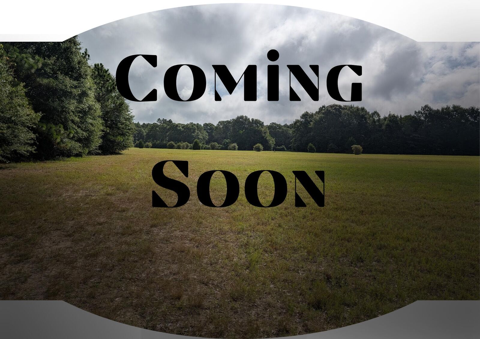 Property Photo:  6176 Barnes Road  FL 32536 