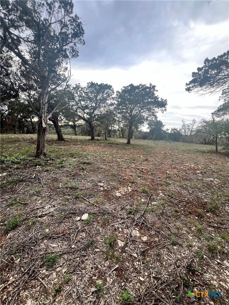 Property Photo:  19705 Tyler Trail  TX 78645 