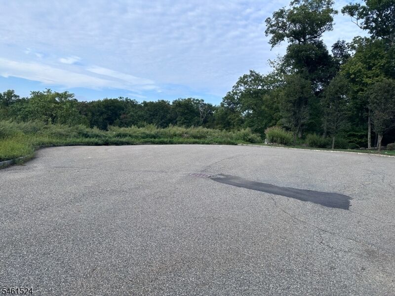 Property Photo:  14 Nicholas Dr  NJ 07405 