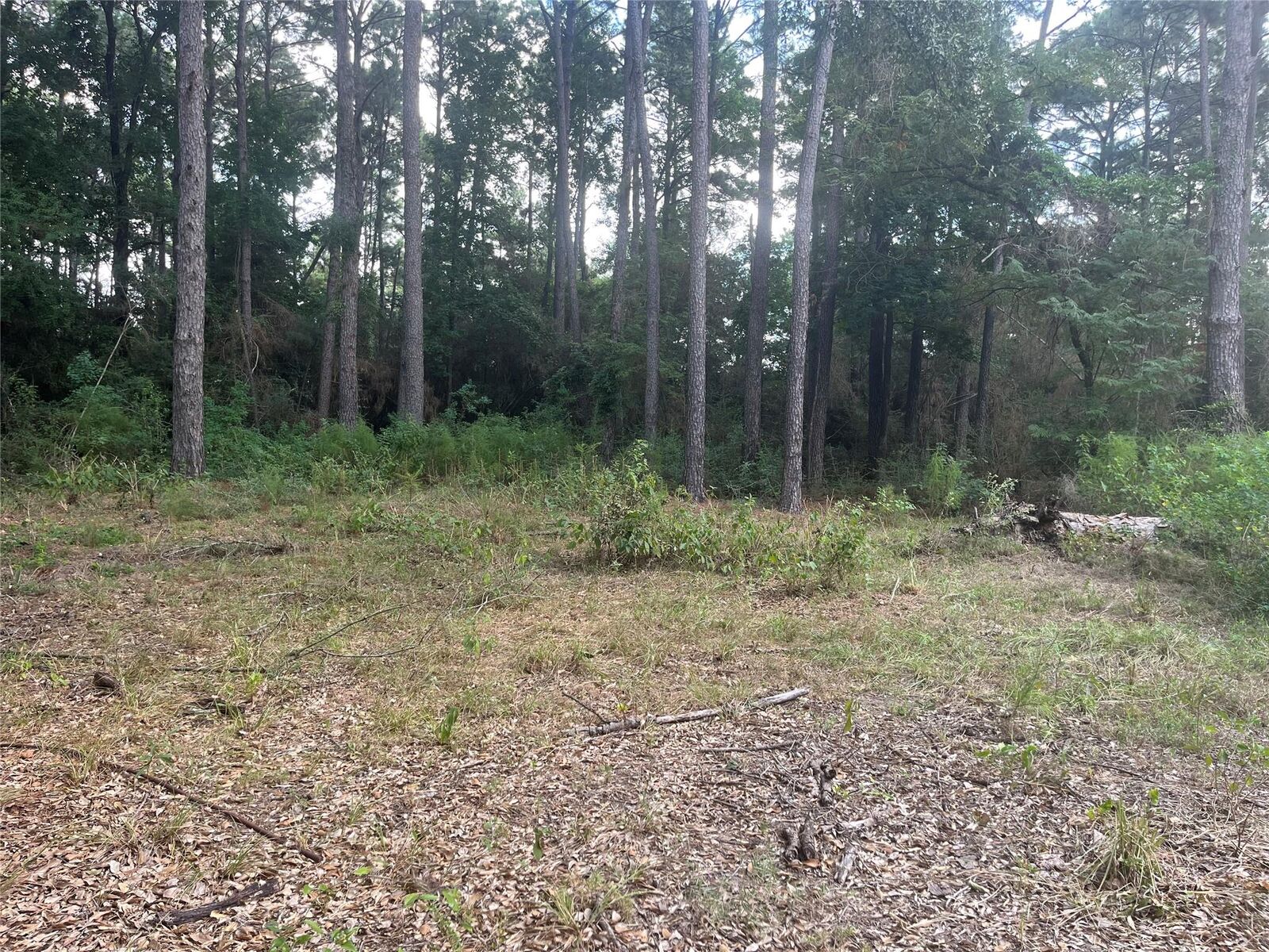 Property Photo:  000 Hardy Road  TX 77073 