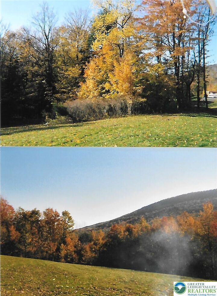 Property Photo:  Pantherlick Road  PA 18846 