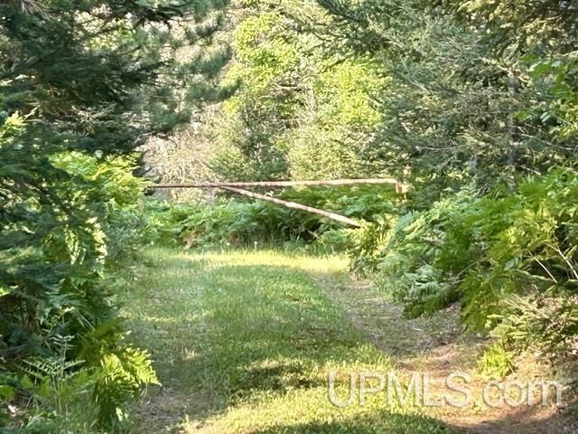 Property Photo: 9000 Bear Lake Lodge Road MI 49849