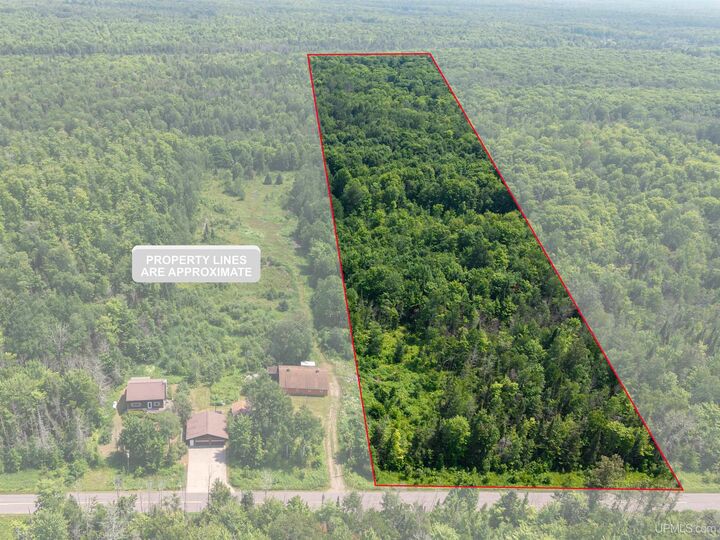 Property Photo:  20 Acres Tbd Dukes Road  MI 49885 