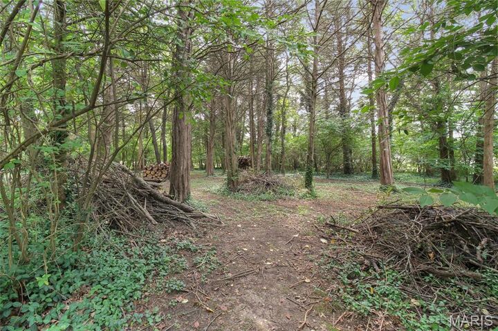 Property Photo:  137 Christland Drive  MO 63080 