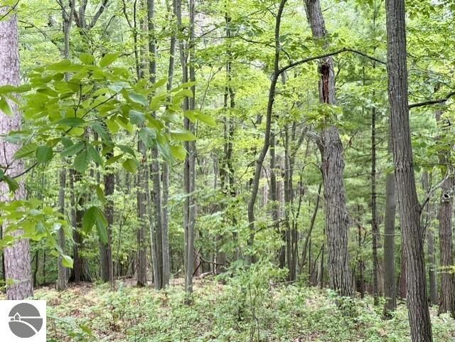 Property Photo:  35 Brook Hill Cottages  MI 49636 