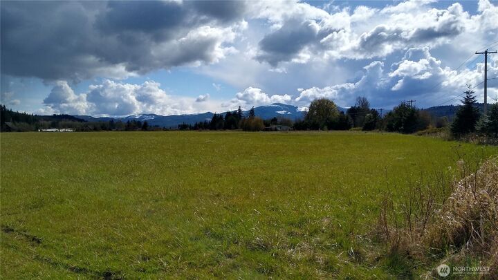 Property Photo:  559 06  Boistfort Rd  WA 98538 