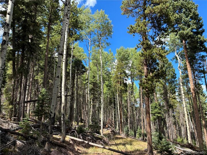 Property Photo:  Lot 2380 Benton Road  CO 81133 