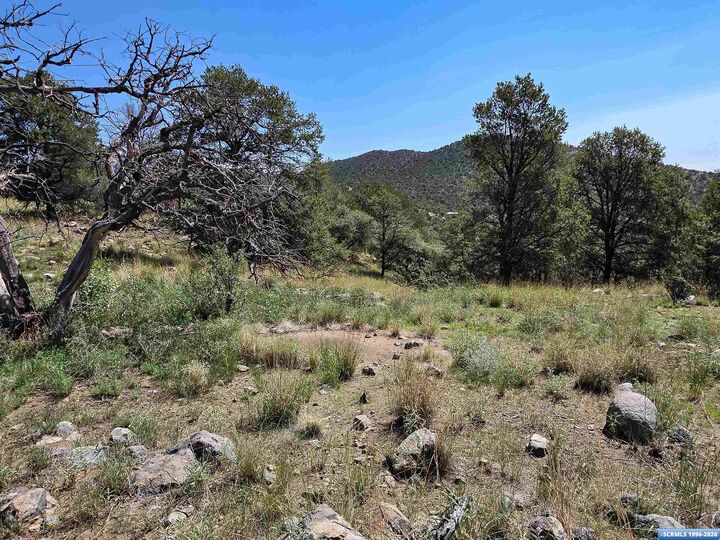 Property Photo:  37-X2 Black Dog Road  NM 88061 