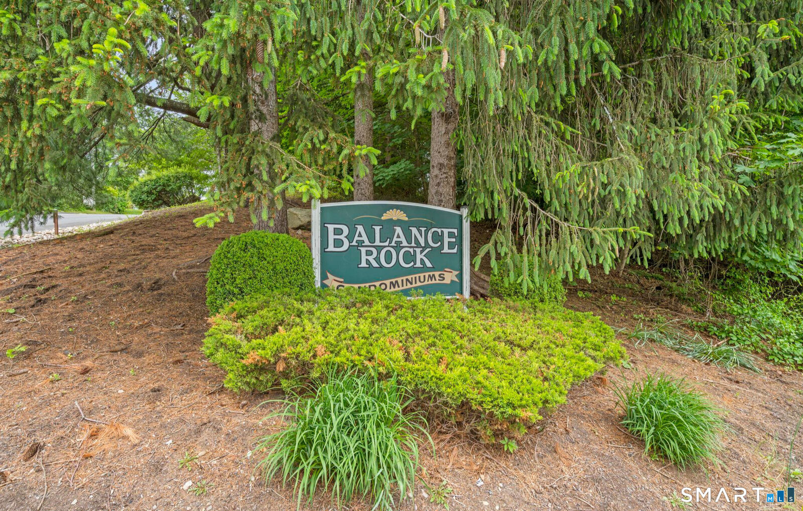 Property Photo:  79 Balance Rock Road 12  CT 06483 