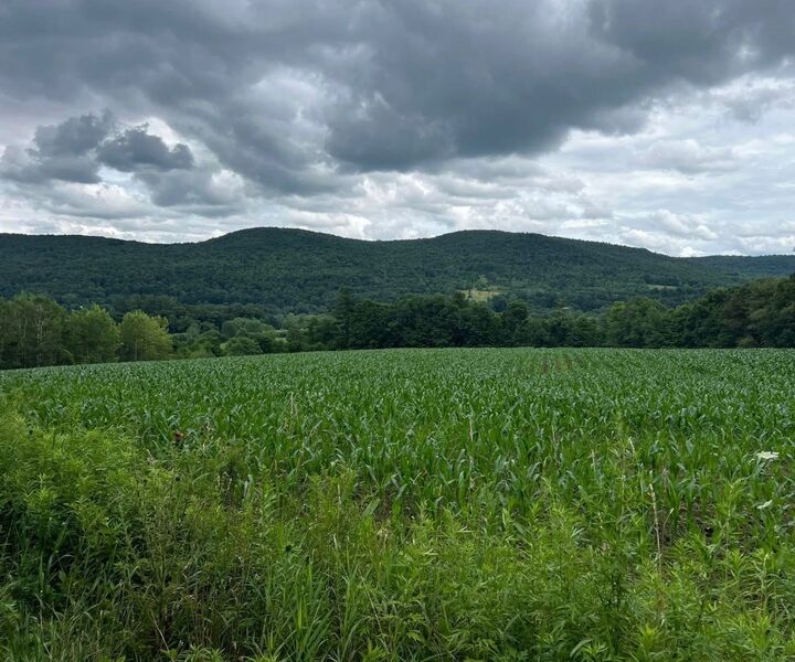Property Photo:  267 State Route 79 Route  NY 13865 