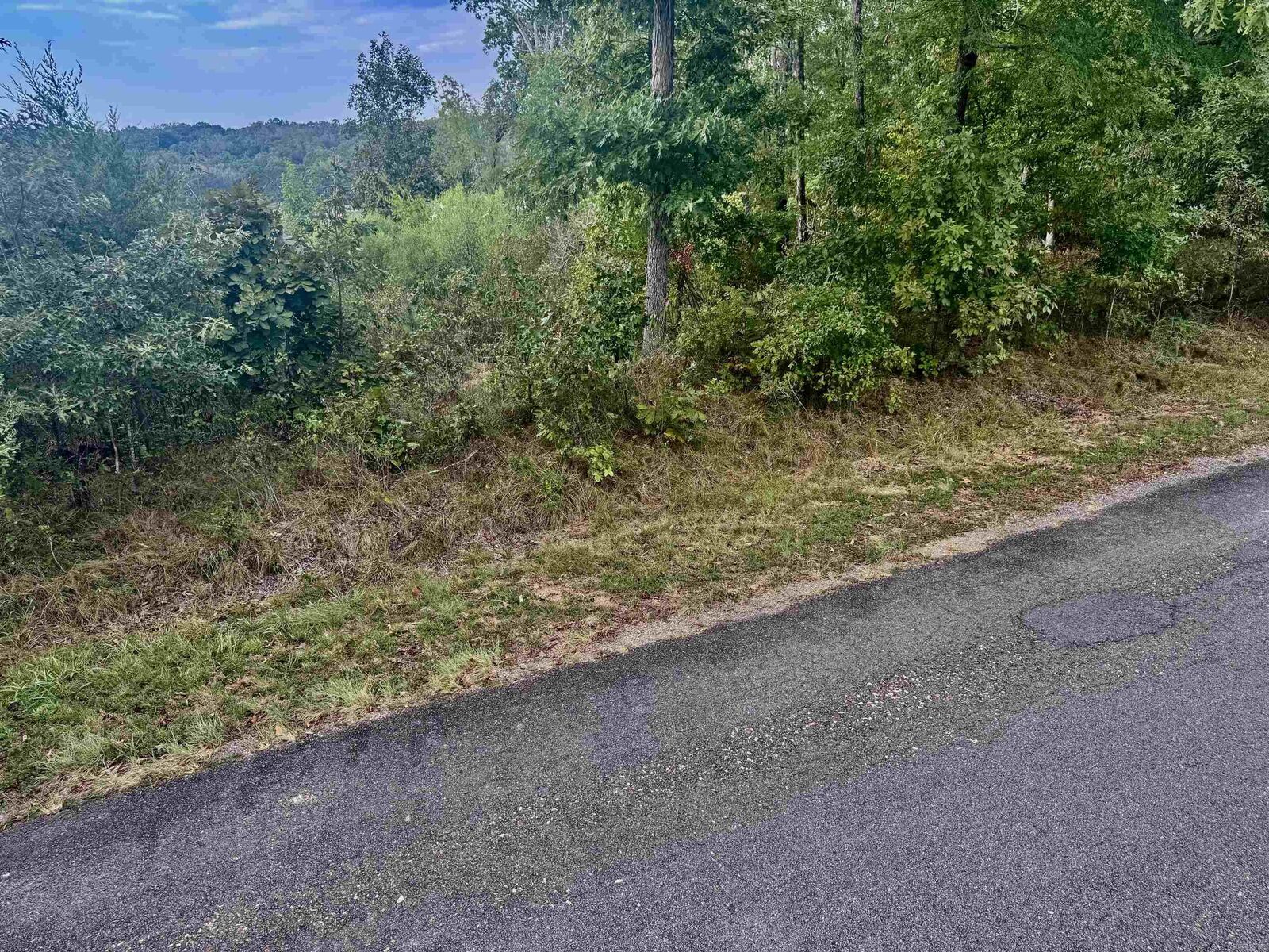 Property Photo: Lot 3318 Ohio Drive AR 71913