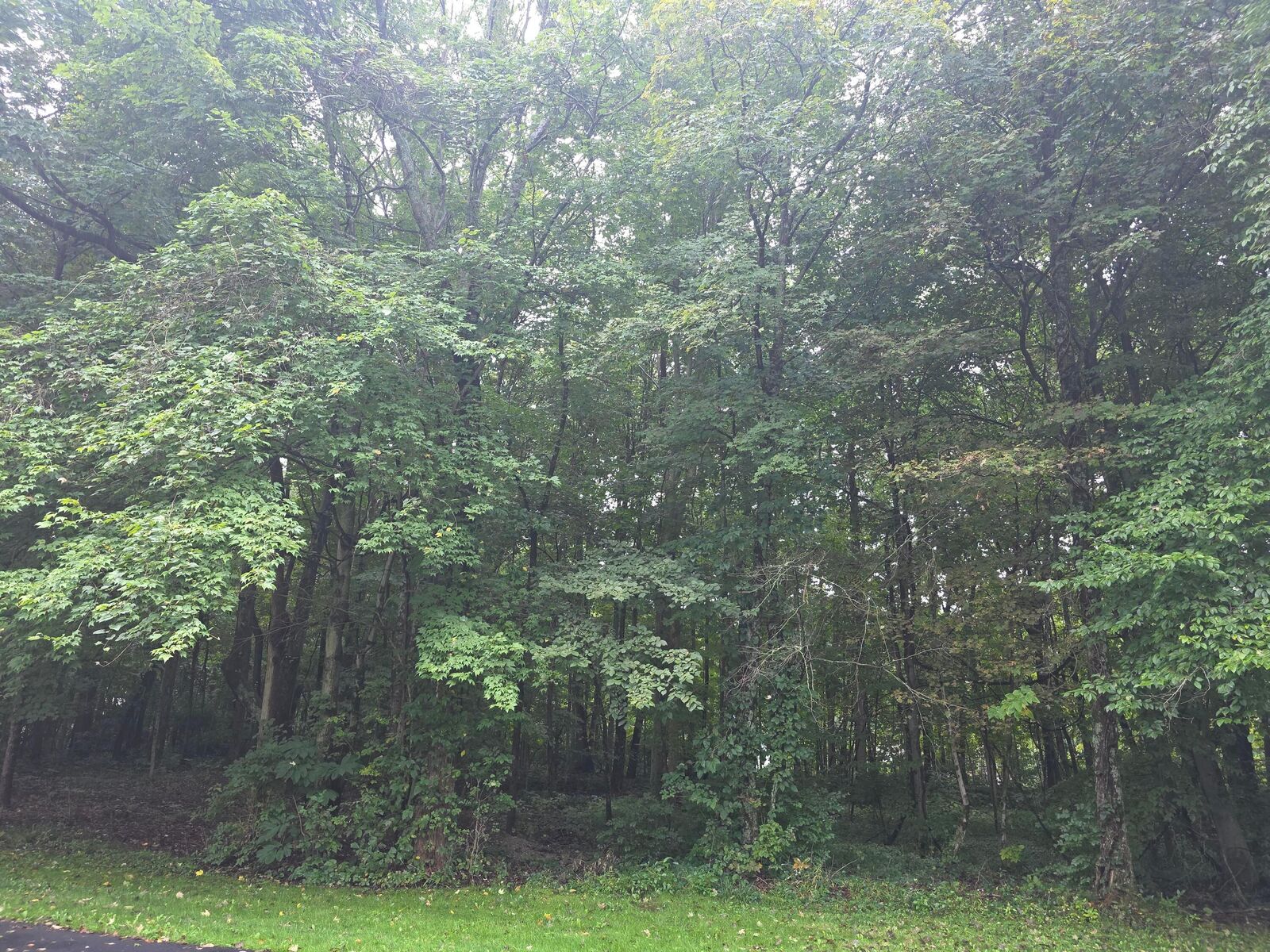 Property Photo:  5205 County Road 9  OH 43320 