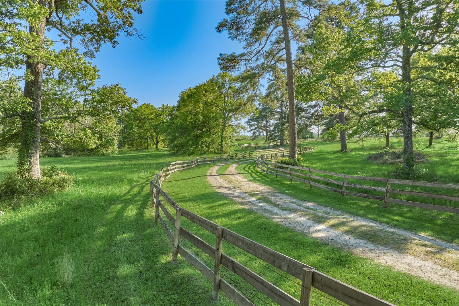 Property Photo: 23004 Landrum Village Drive TX 77316