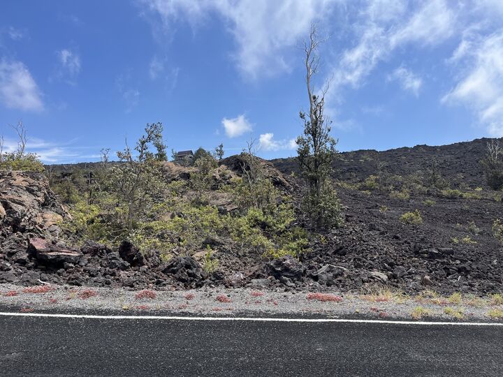 Property Photo: Koa Ln HI 96737