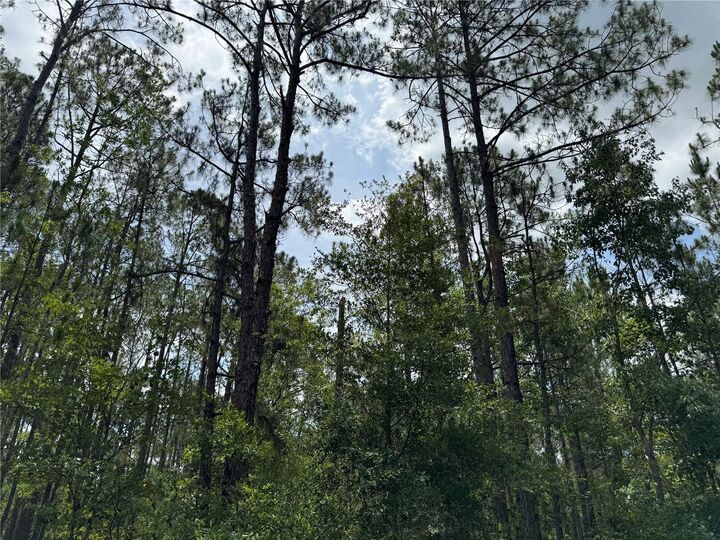 Property Photo:  SW 143 Place  FL 34473 